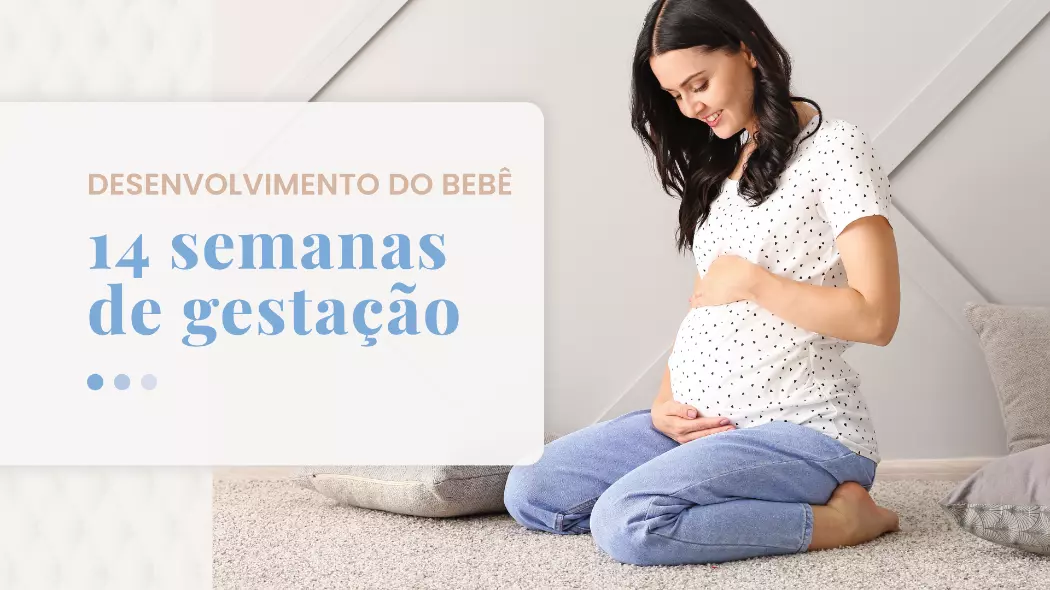 14 Semanas de Gestação