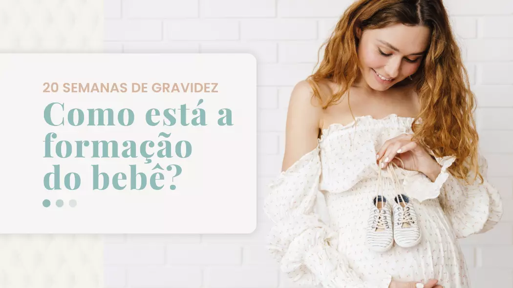 20 Semanas - Formação do Bebê