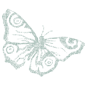 borboleta